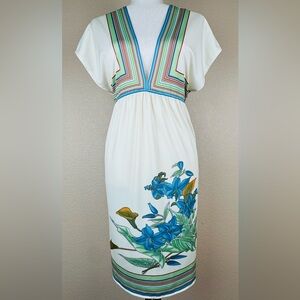 Charlotte Russe women’s A-line dress. Size Large.